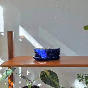 빈티지 화분 - Blue tulip