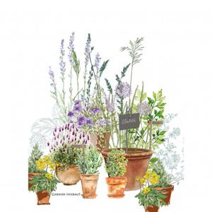 프로방스 티타올 허브정원