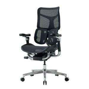 에르고백 D300 프리미엄 하이엔드 풀메쉬 체어