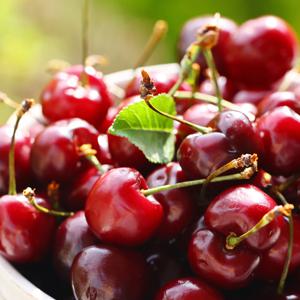 수입산 생 체리 1kg (10-10.5R) 중과