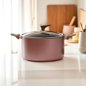 시그니처 인덕션 냄비 28cm곰솥