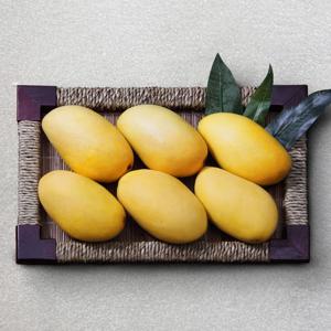 프리미엄 태국망고 2kg이상 (5~8과)