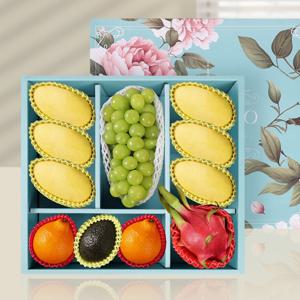 종합과일선물세트 (망고(필리핀),용과(베트남),샤인머스켓(국산),오렌지(페루) 외)