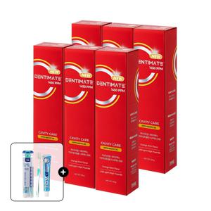 덴티메이트 1450 고불소 매스틱 충치케어 치약 150g 3+3입+휴대용세트