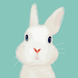 DIY 명화그리기 아기 토끼 20X20cm