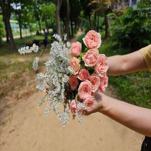 소확행 2가지꽃4송이 생화 배송 꽃 정기배송 구독 택배