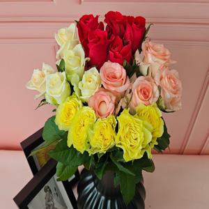 랜덤 장미 5송이 생화 꽃 택배