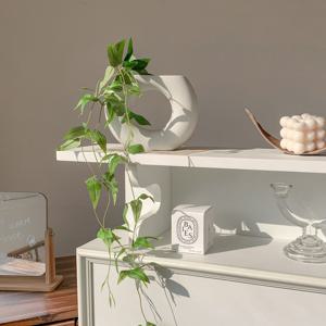 화병세트 루브너 도넛링 화병 + 4줄기 클레마티스 행잉플랜트 조화