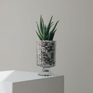 알로에 크리스탈고블렛 글라스세트 다육식물 선인장 오브제 인테리어 식물