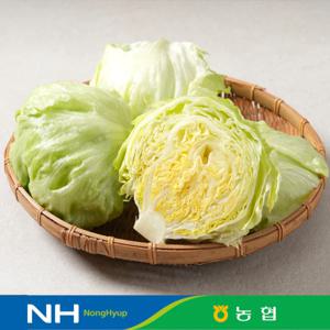 [동김제농협] 국내산 양상추 2kg 외 대용량 유러피안 샐러드 샌드위치 업소용