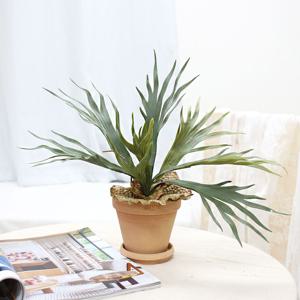 내추럴 빈티지 박쥐란 조화 화분 생화같은 감성 인테리어 소품 촬영소품