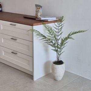 내추럴고사리 나무 조화 화분 인테리어 플랜테리어 소품