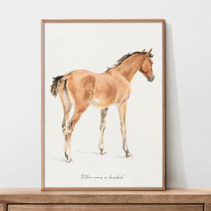 2026 말 풍수 그림 액자 인테리어 포스터 - 초입