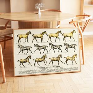 2026 말 풍수 그림 액자 인테리어 포스터 - 진행