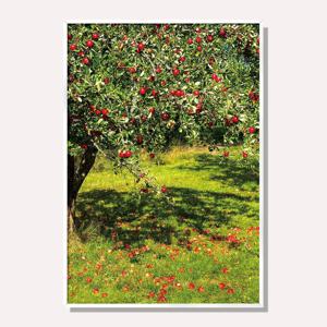풍성한 붉은사과 나무 그림 액자 풍수 감성 인테리어 포스터 / STRP-WC001-OG