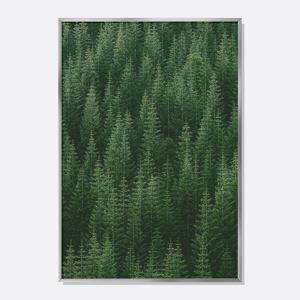 스칸디나비아 감성 포스터 북유럽 인테리어 액자 침엽수림 No.1 / FOR001-OG