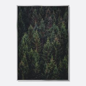 스칸디나비아 감성 포스터 북유럽 인테리어 액자 침엽수림 No.2 / FOR002-OG