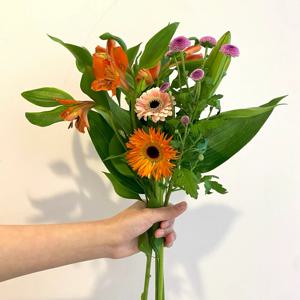 피크닉 꽃다발 소형 생화 1회 정기구독 정기배송 꽃배달