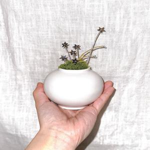 별똥별 군락 자체제작 인테리어 조화 AI 비즈식물(DIY/완제품)