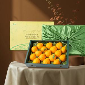 제주직송 한라봉 선물세트(실중량) 17과 내외 / 4.5kg