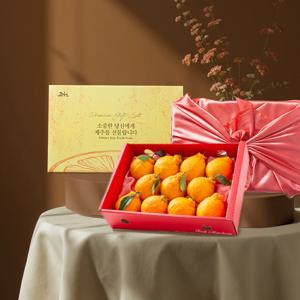 제주직송 한라봉 선물세트(실중량) 11과 내외 / 2.5kg