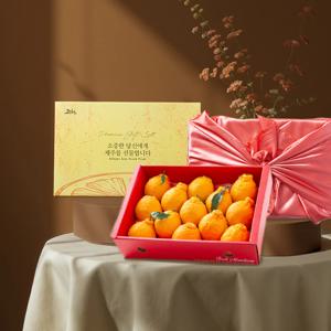제주직송 한라봉 선물세트(실중량) 14과 내외 / 2.5kg