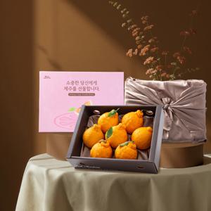 제주직송 한라봉 선물세트(실중량) 7과 내외 / 1.5kg