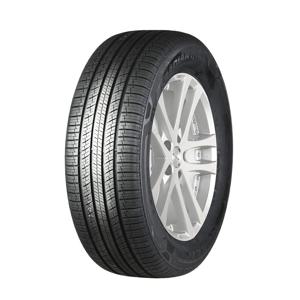 로디안 GTX 225/55R19 (택배발송/장착비별도)