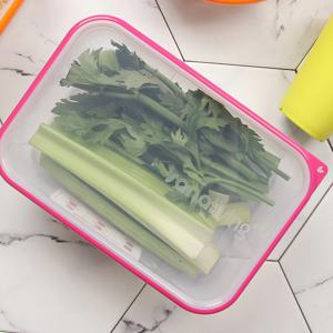 이태리 밀폐용기 사나리빙 항균 푸드 컨테이너 2.1L