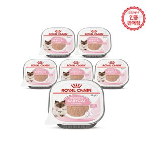 로얄캐닌 고양이캔 마더앤 베이비캣 울트라 소프트 무스 100g  6팩