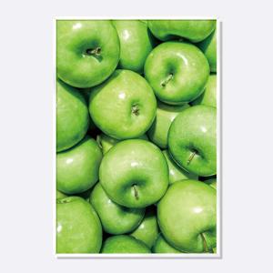 깨끗한 풋사과 그림 액자 다복 풍수지리 인테리어 사진 포스터 / APS002-OG