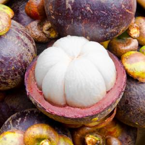 태국 망고스틴 500g 1kg 5kg 수입과일