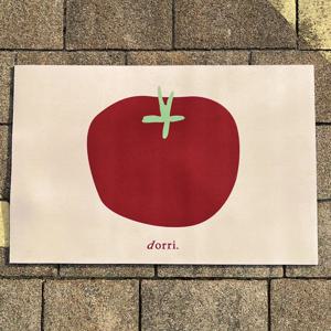 도르리 두툼한 빨아쓰는 규조토 발매트 세탁가능 현관 욕실 주방 화장실