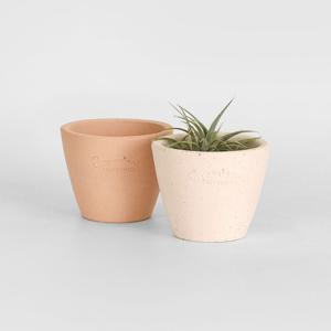 로자리안 허니&쿠앤크 제리 팟 화분 국산 분갈이 인테리어 토분