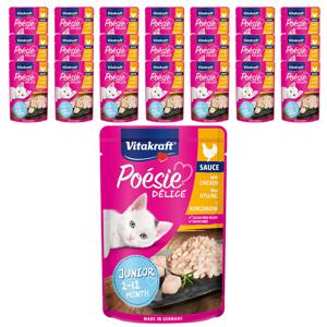 고양이 습식사료 델리스 주니어 치킨 85g