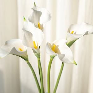 프리미엄 카라 칼라꽃 조화