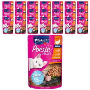 고양이 습식사료 델리스 주니어 칠면조 85g