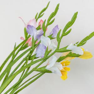 글라디올러스 고급 조화