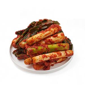 김치고집 맛있게 매운 대파김치 2kg