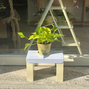 형광 야광 라임 스킨답서스 키우기 쉬운 식물 덩쿨식물 플랜테리어