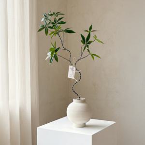 달항아리 파키라 쉐프렐라 조화 나무 화분