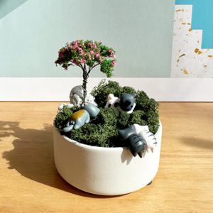 스칸디아모스 고양이와 철쭉이있는 미니정원 세라믹 화분세트