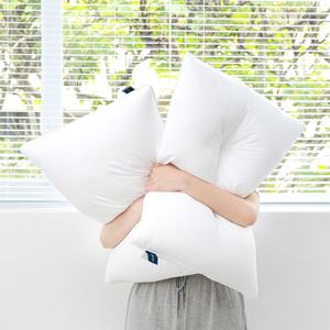 나노필 알러지케어 워셔블 마이크로 다운필100% 항균 호텔 경추베개솜