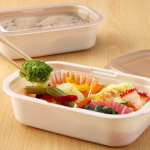 재팬 I.N/전자레인지 OK 초간편 세척 도시락 2P/보존용기 피크닉용기