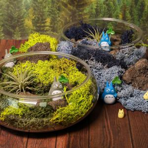 토토로 스칸디아모스 테라리움 만들기 diy 오브제 키트
