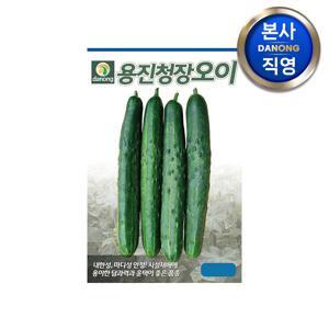 용진청장 오이 씨앗 100g . 야채 채소 텃밭 파종 재배 주말 농장 씨 종자
