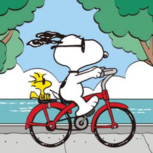 DIY 그림그리기 세트 피너츠 스누피 자전거 25x25