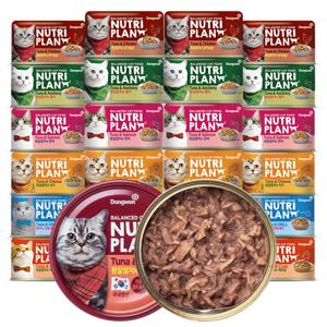 대용량 고양이캔 160g x 48캔 6가지맛 골라담기 고양이간식 습식캔