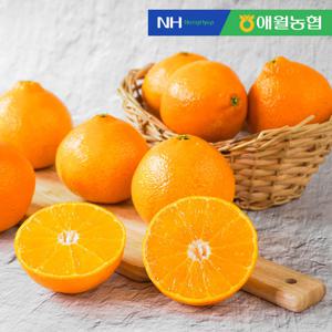 애월농협 제주 천혜향 선물세트 5kg (20입 내외) 부직포 포장