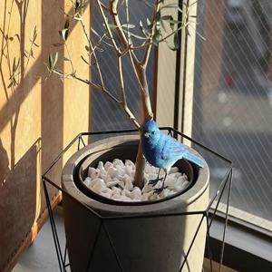 버드빌 블루 버드 자석 클립 새모양 오브제